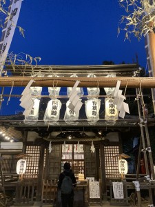 IMG_6460